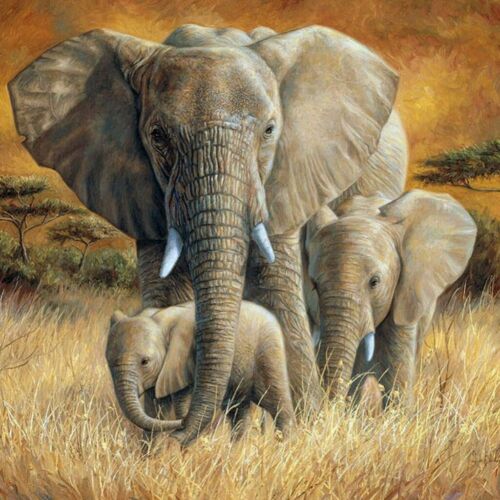 5D Elephant Diamond Painting Full Drill Animal Art Kits Embroidery Decor Gifts - Picture 1 of 4