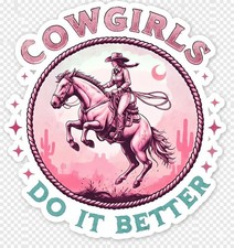 Cowgirl Western Decal Sticker Phone Laptop PICK ONE