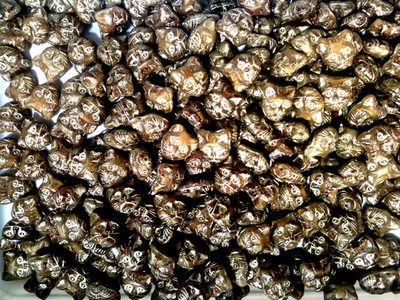 Vtg 100 CAT HEAD BEADS 12mm #050212LB CLOSE OUT