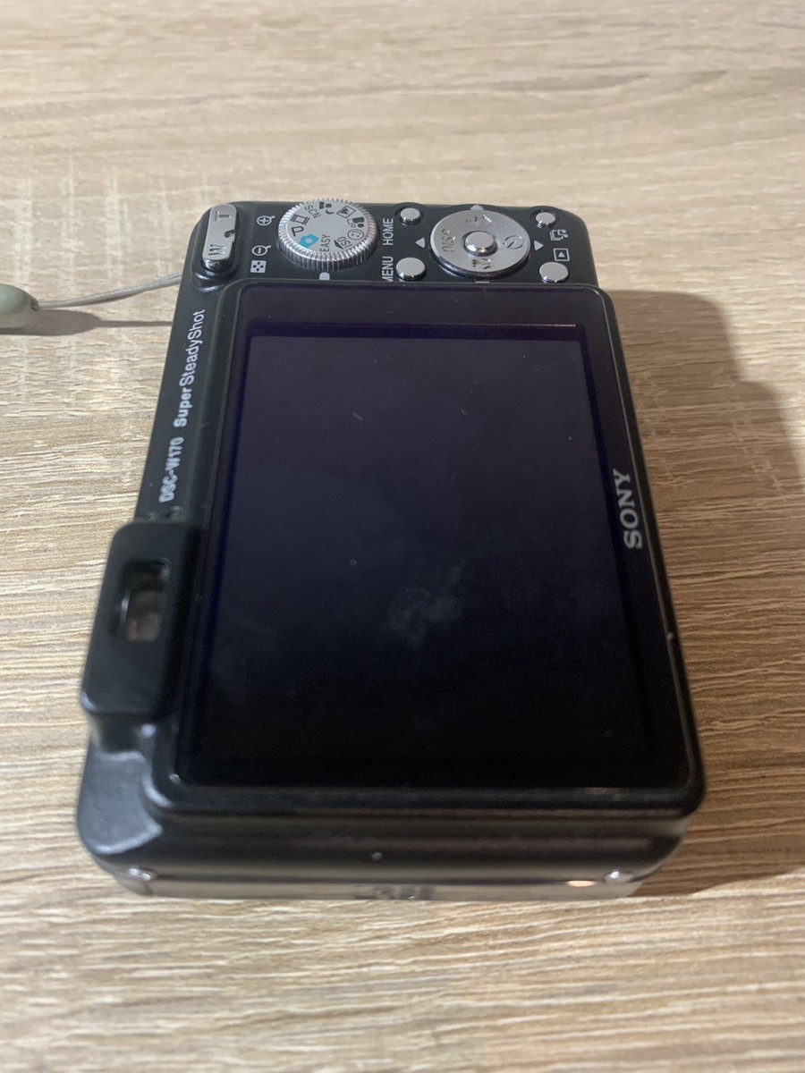 Sony Cyber-shot DSC-W170 10.1MP Digital Camera - Silver (DSC-W170