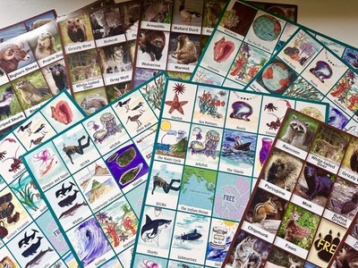 Lot of Bingo Flash Cards Card is 8.5'' x 11'' Vintage Educational Ocean & Wildlife