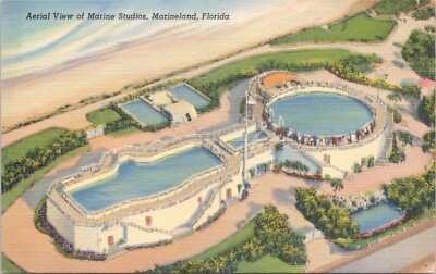 Aerial View of Marine Studios Marineland Florida Postcard