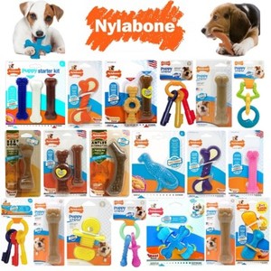 nylabone ring