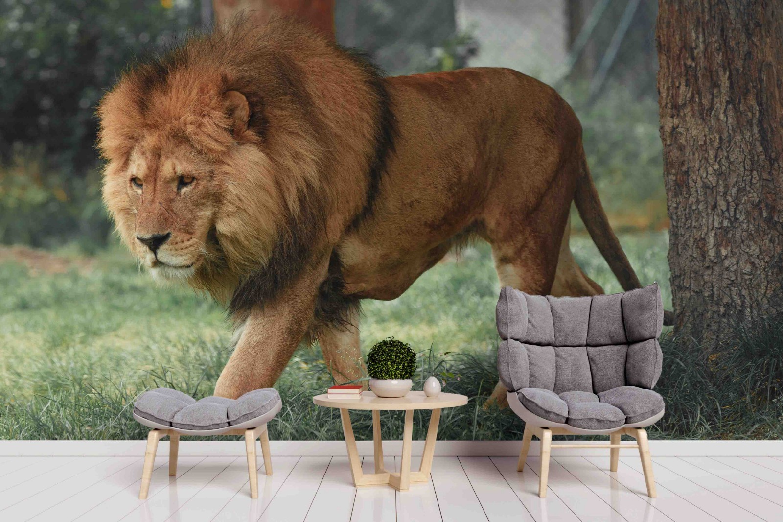 3D Lion Animal Close-up Wall Murals Wallpaper Murals Wall Sticker