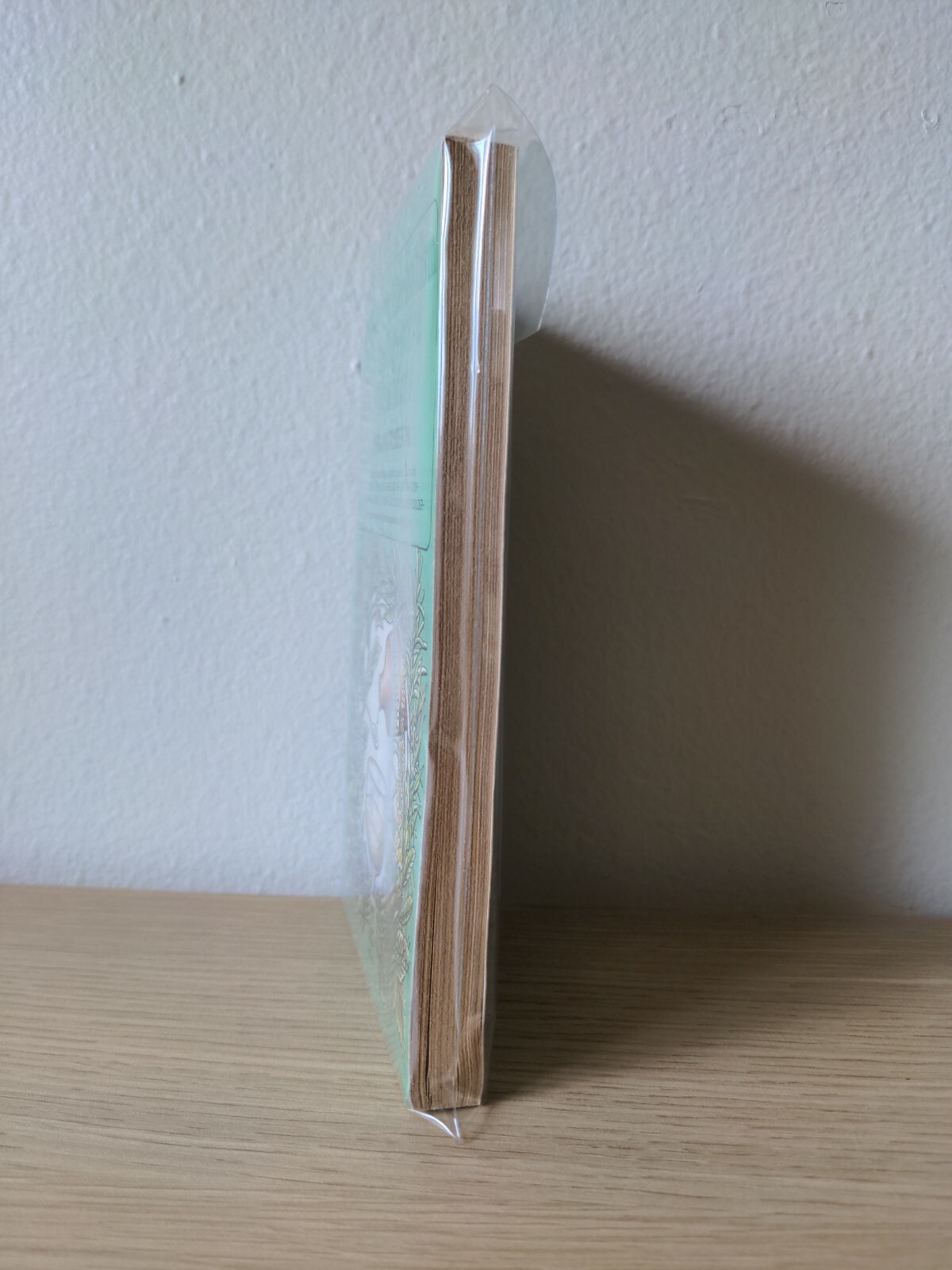 Bild 6 von 19