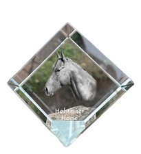 Holsteiner Horse - crystal cube with a horse picture, horse picture in crystal, 