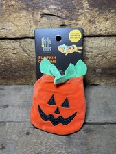 Thrills  Chills Bearded Dragon Reptile Halloween Costume Clothes Cute Pumpkin