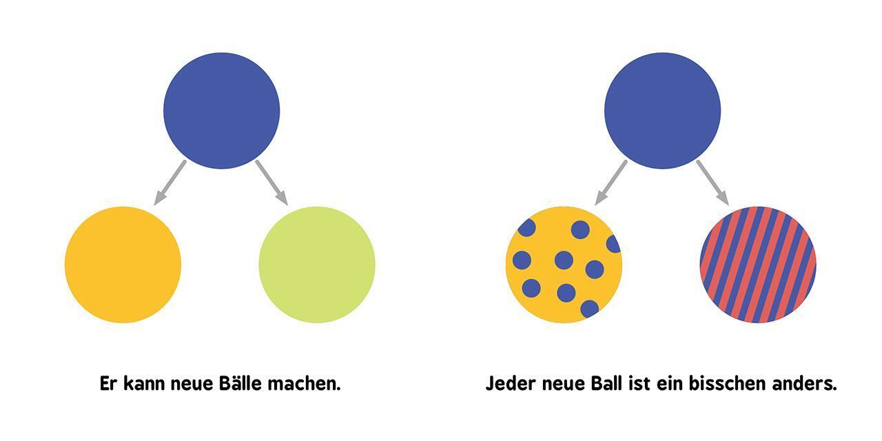 Thumbnail - Baby-universität - Evolution Für Babys Chris Ferrie (u. A.) Buch 26 S.