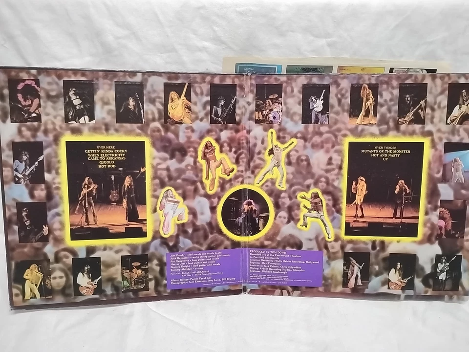 Black Oak Arkansas Raunch 'N' Roll Live Vinyl LP ATCO Records SD 7019 1973 Foto 4 de 4