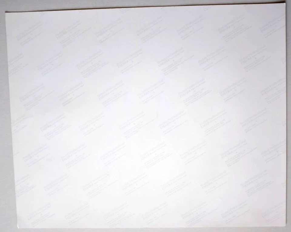 Marshall Field's Tiffany Mosaic Ceiling State St. Chicago 16x20 Store File Photo - Image 2 of 2