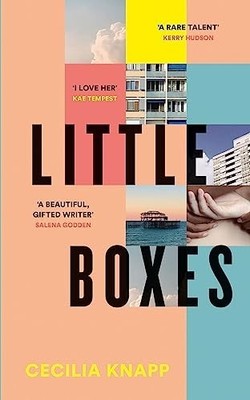 Little Boxes: Debut literary fiction from the Youn... by Knapp, Cecilia Hardback