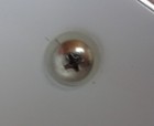Bild 4 von 6