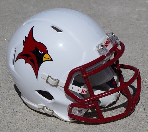 smith camber mips snow helmet Its nice and light Crossovers The NFL of 1971 Color:Spiced Buds