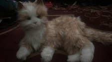 JOY FOR ALL Companion Pet for Seniors Lifelike Animatronic Cat Realistic HASBRO