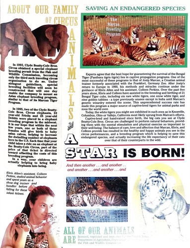1997 Circus Souvenir Program Magazine Clyde Beatty Cole Bros Circus Vintage - Picture 13 of 14