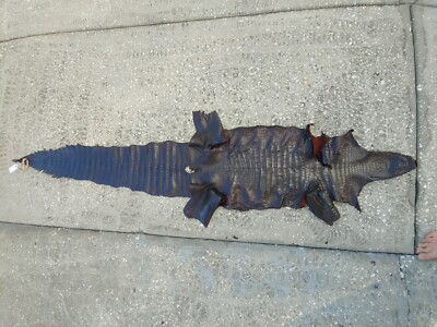 Wild Alligator gator Hide Skin Pelt swamp leather Boots shoes Vest