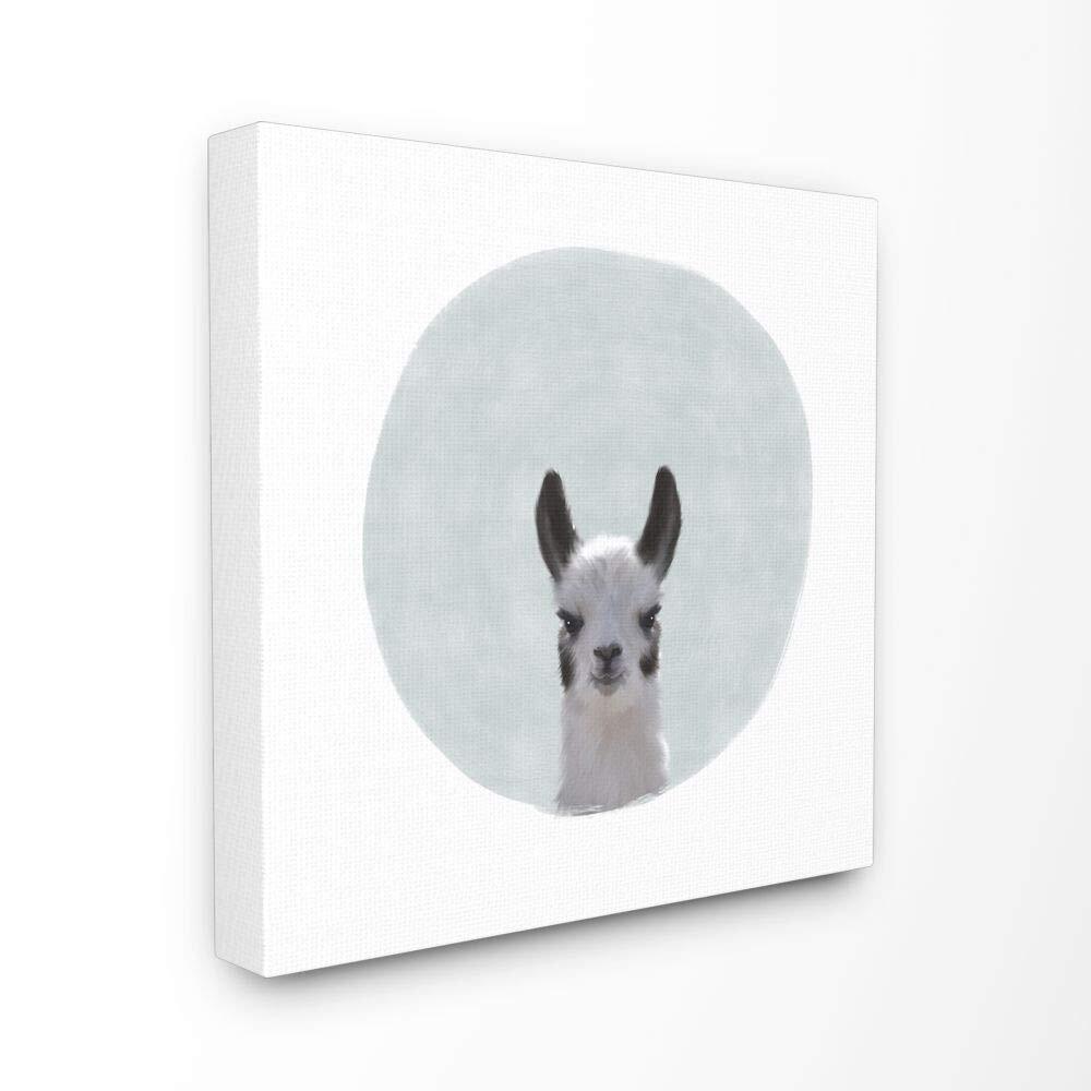 The Room by Stupell Baby Llama Animal Painting Canvas Wall Art, 17 x 17, Mult...
