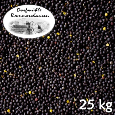 DML (1,64€/1kg) 25 kg Raps Rapssamen Gereinigt Rapssaat Rapskissen Kissen Wärmekisse