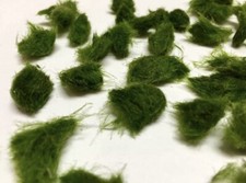 Marimo Moss 20 Pieces 0.5-1 inchCladophora Live Marimo Aquarium in USA.