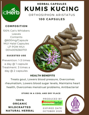100 CAPSULES CAT WHISKERS ORTHOSIPHON ARISTATUS NATURAL ORGANIC HERBAL HERBS