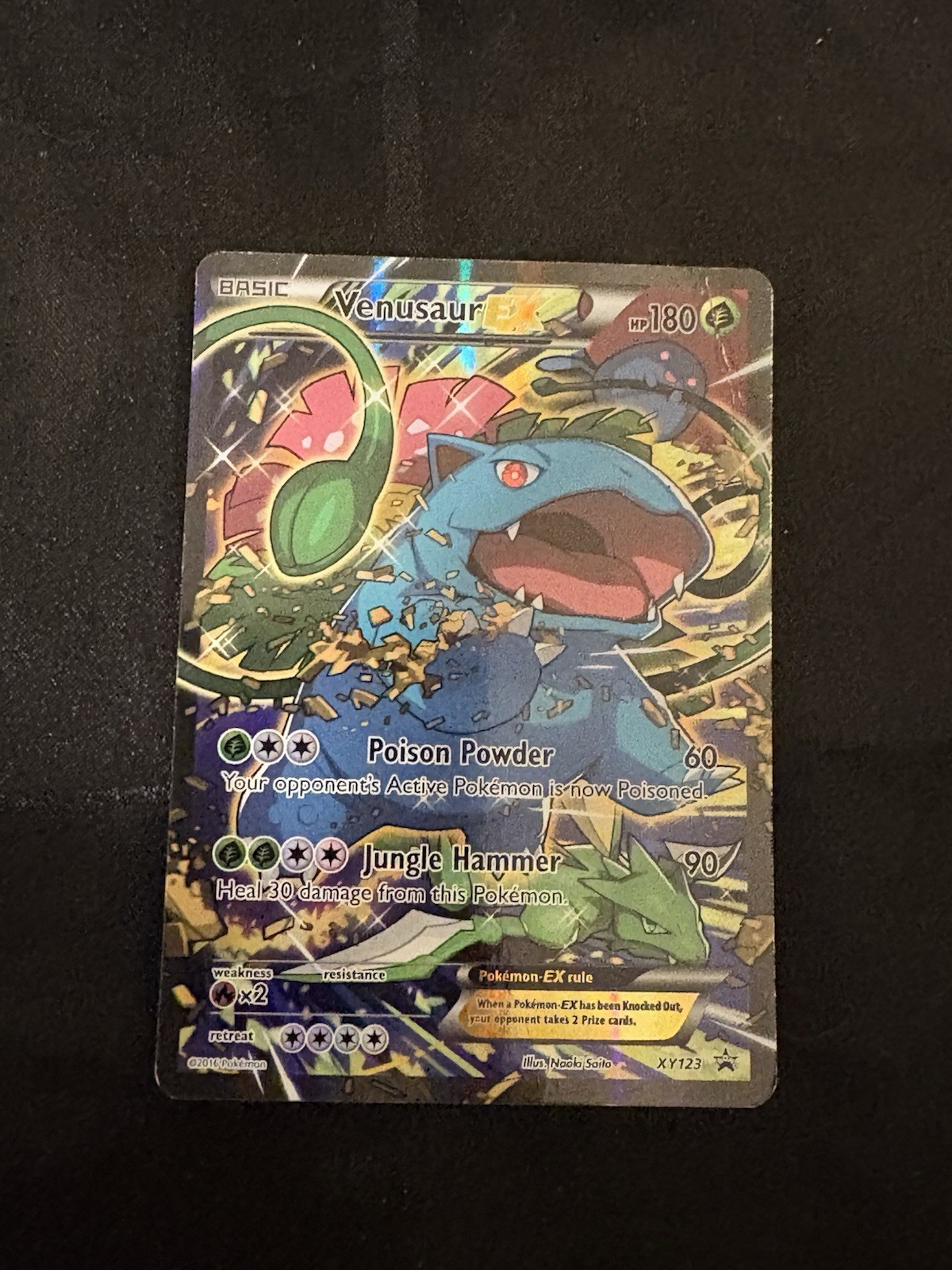 Venusaur EX XY123 XY Promos Holo Standard Size