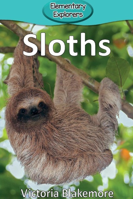 Sloths von Victoria Blakemore (2017, Taschenbuch) for sale online | eBay