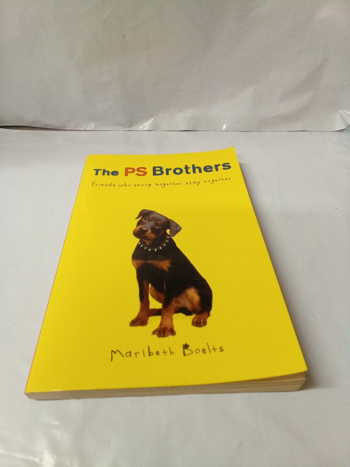 The PS Brothers - Paperback By Boelts, Maribeth - GOOD