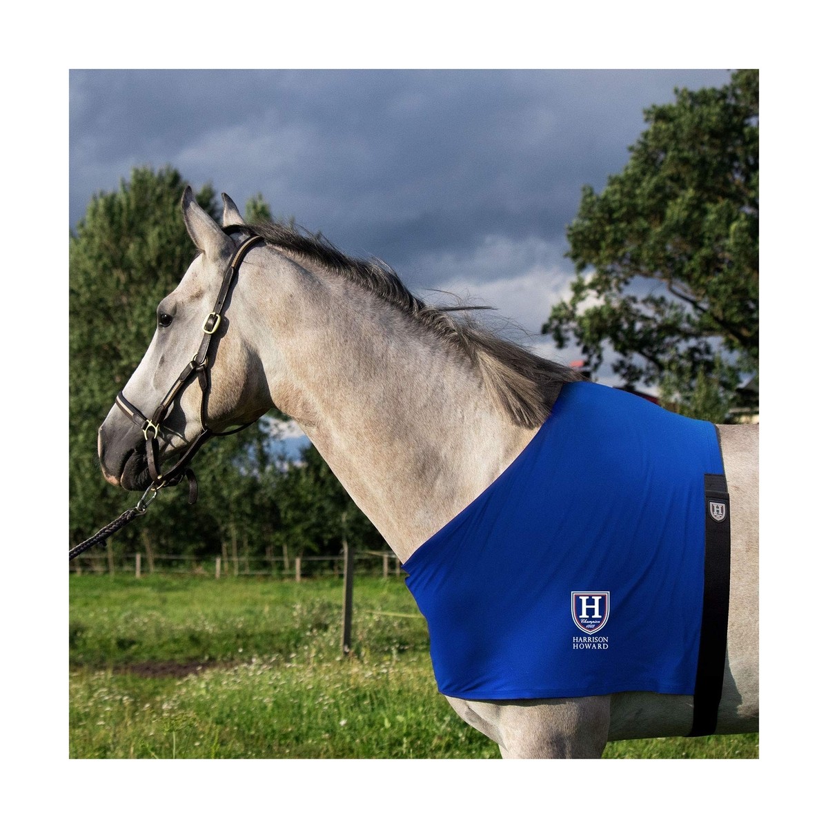 Housse De Selle Imperméable Et Respirante Harrison Howard - Doublure Polaire 240g - Taille Unique - Rose Fuchsia