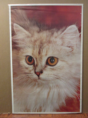 【CAT】　vintage poster Amazon.com: Vintage Funny Cat Wall Art & Decor - Catzilla