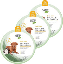 Pet Odor Absorbing Solid Air Freshener for Home, Air Purifier, Fresh Citrus, Mus