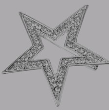 Silver Tone Star Shaped Shiny