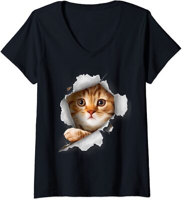 Cat Shirt, Orange Cat Kittie Torn Cloth Kittie Design Ladies' V-Neck Tshirt