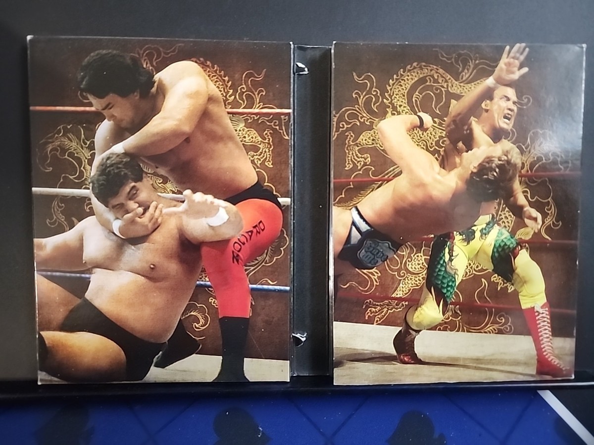WWE: Ricky Steamboat: The Life Story of the Dragon (DVD, 2010, 3