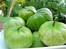 101+TOMATILLO GIGANTE Seeds Organic Summer Vegetable Garden Container Easy Grow