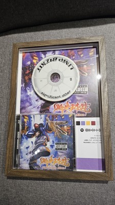 Limpbizkit Custom CD Display Frame