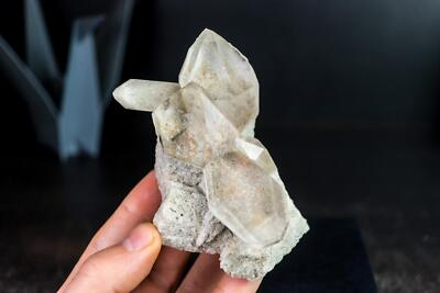 Galeriequalität wasserklarer Quarzkristall, zepterartiger Wuchs, oben auf Metamorphe