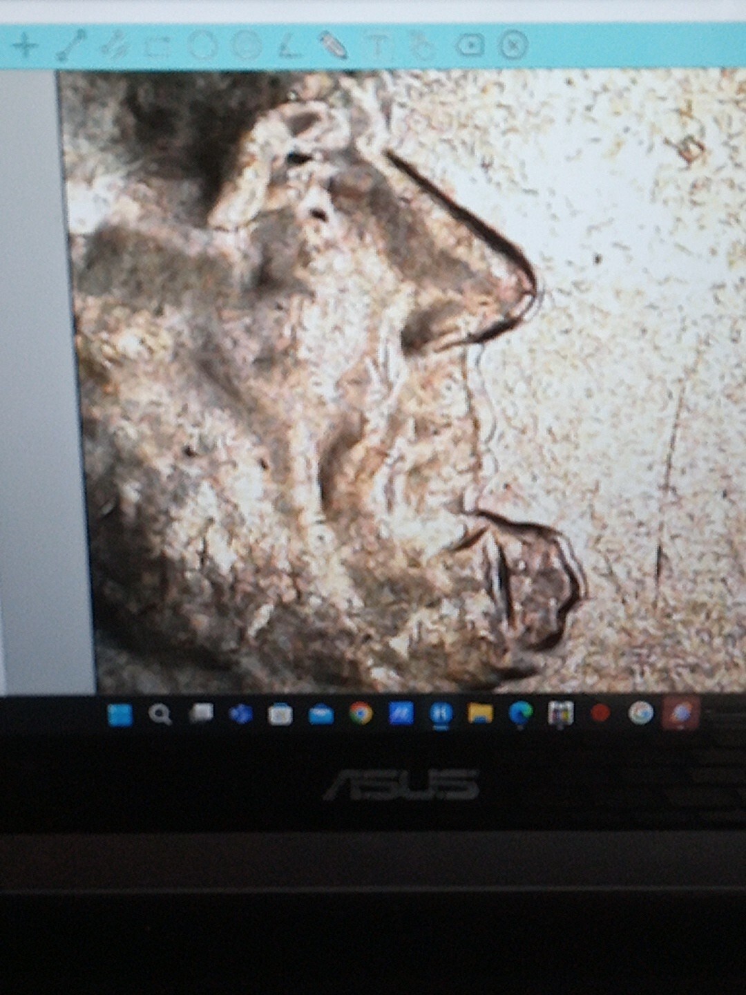 Picture 6 of 15