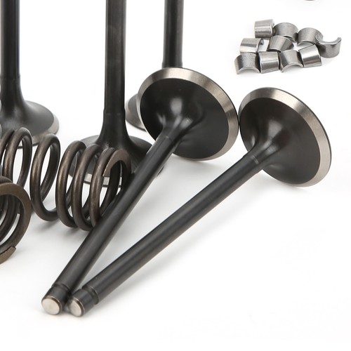 Cylinder Head Intake Exhaust Valve Kit Fit For GRIZZLY 660 YFM660F 4WD 2002‑2008 - Picture 22 of 22