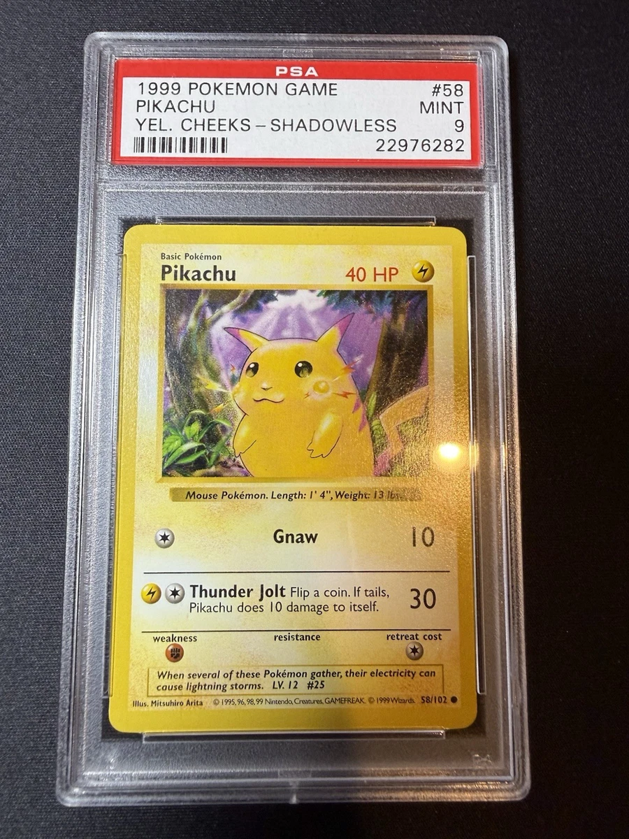 Pokémon TCG Professional Sports Authenticator (PSA) Individual