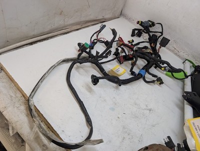 Ski-Doo 2014 Used OEM Main Wiring Harness 515177542 MXZ X 800 Renegade