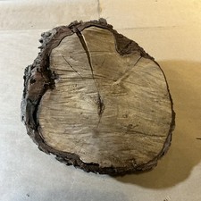 Vintage Wood Chunk Burl Walnut Wood As Is INV-JDJ96
