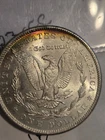1881 s morgan silver dollar ms64
