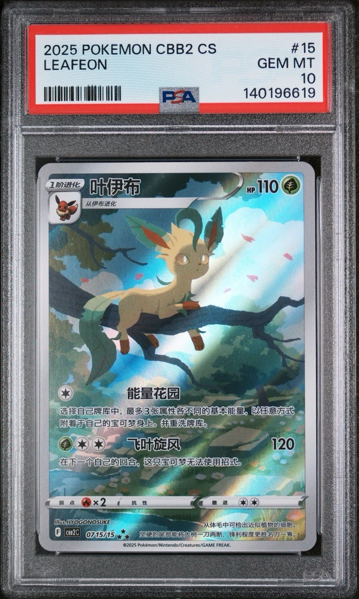 神奇宝贝Pokémon TCG 10 级中国收藏品个人纸牌游戏| eBay