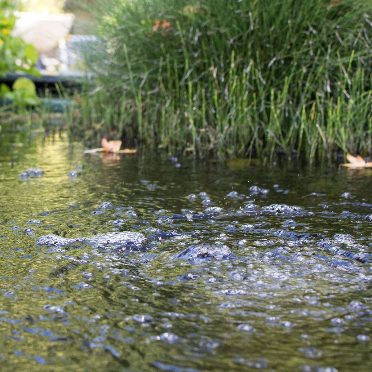 BLAGDON POND OXYGENATOR 2400 KIT WEATHERPROOF AIR PUMP FISH AIRSTONE