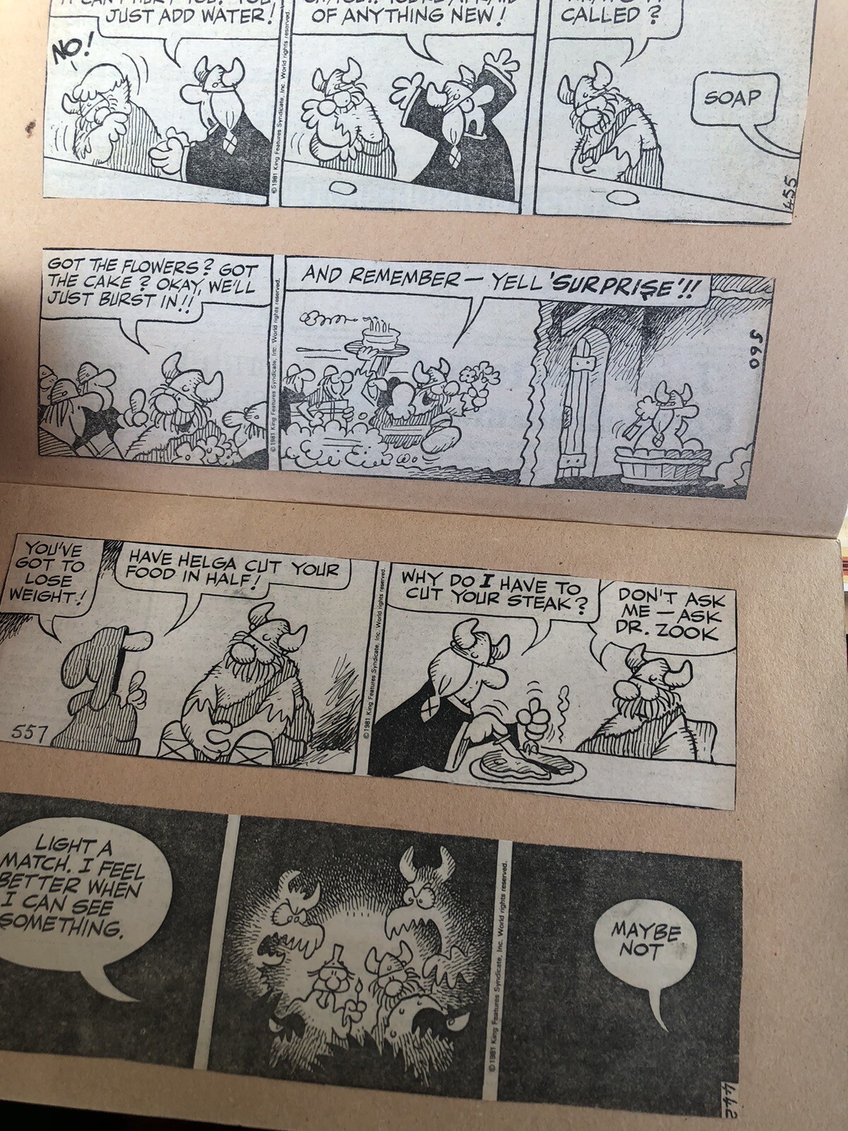 newspaper comic strips 1980/81/82 Hagar The Horrible By Dik Browne eBay