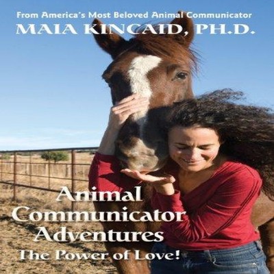 Animal Communicator Adventures The Power of Love! Maia Kincaid Pa