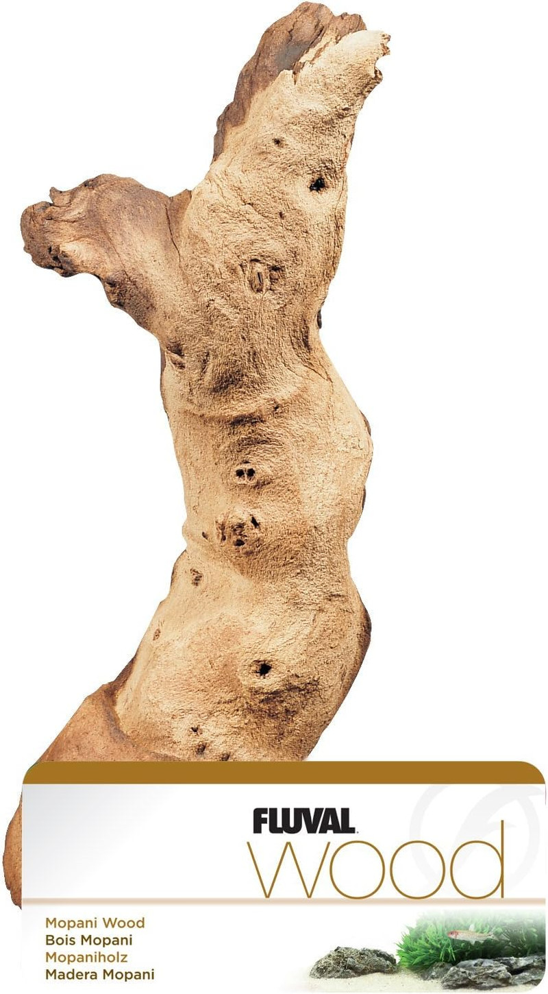 Legno di Mopani Acquario - Radice Naturale Decorativa Originale Africana