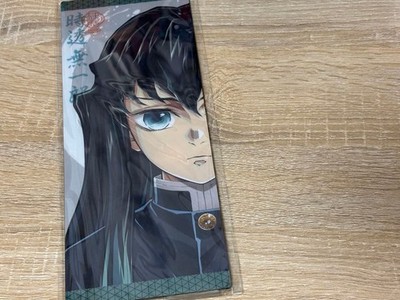 Demon Slayer Kimetsu no Yaiba Reversible Visual Panel Muichiro Tokito Used