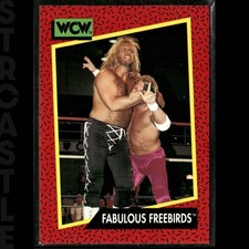 Fabulous Freebirds 1991 Impel WCW #123 WCW Wrestling Card