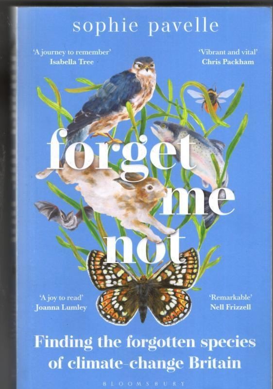 Forget Me Not : Sophie Pavelle